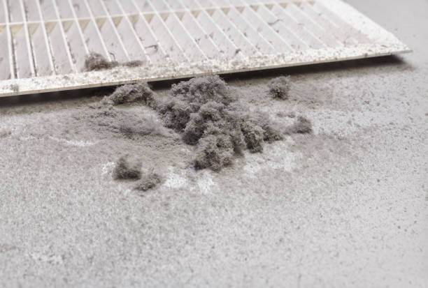 Best Dryer Vent Cleaning Services  in Shawnee, OK