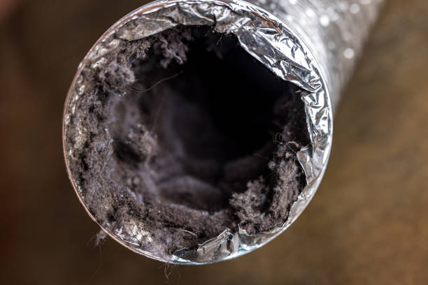 Best Air Duct Cleaning Company Near Me  in Shawnee, OK